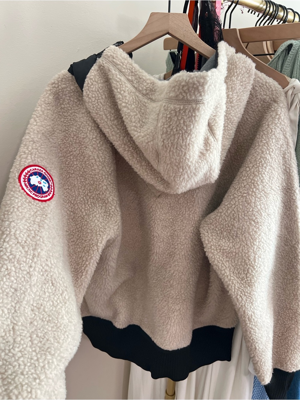 Canada Goose Simcoe Oversized Hoodie Kind High Pile Fleece ✨🪿 - Picture 10 of 10